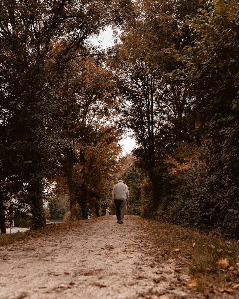 A man walks away on a tree-lined footpath during autumn, highlighting nature's beauty.